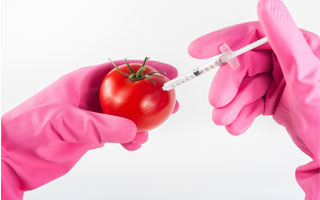 stephypublishers-food-science-fly1