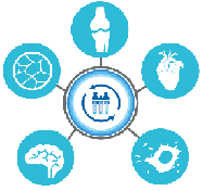 stephypublishers-medical-sciences-logo