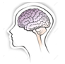 stephypublishers-neurology-and-neuroscience-logo